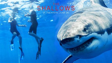 The Shallows 2025